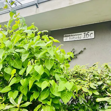 Z Ogrodkiem Apartment *