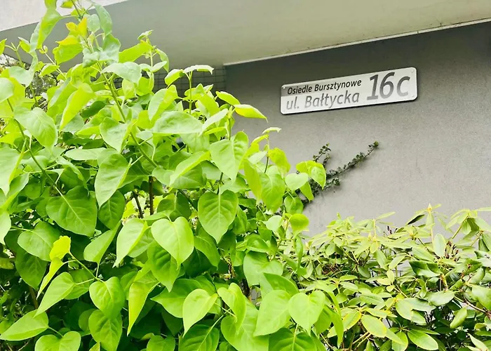 Z Ogrodkiem Апартаменты *